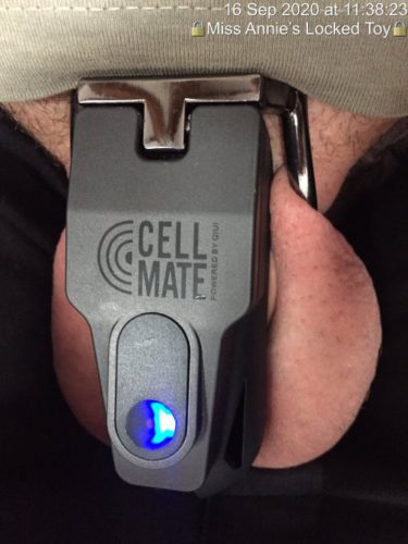 CellMate® Chastity Cage photo review